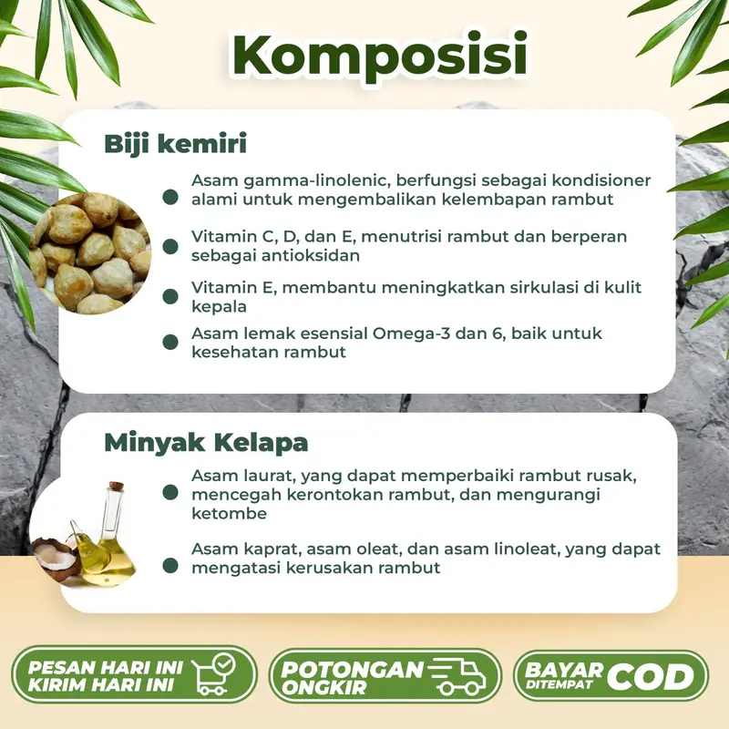 Minyak kemiri bakat original asli 100% penumbuh rambut botak, rontok, dan pelebat rambut, mencegah uban 1
