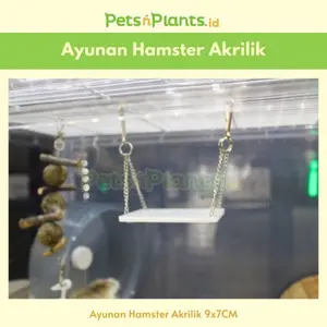 PnP Ayunan Akrilik Mainan Hamster 9 x 7 CM Import