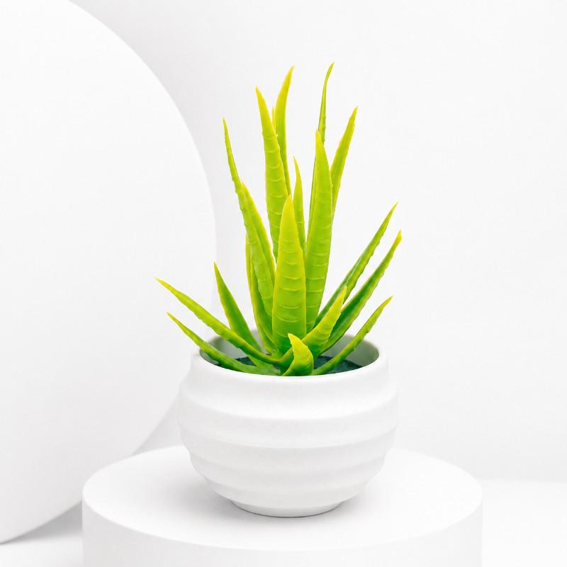 Chậu Cây Cảnh Giả Mini Monstera - Cây Nhựa Trang Trí Bàn Làm Việc Decor Đẹp -…
