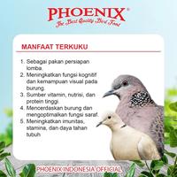 Gambar Phoenix Terkuku Platinum Pakan Puter Pelung Derkuku Platinum Formula Phoenix dari Phoenix Petfood Indonesia Kab. Bogor 3 Tokopedia