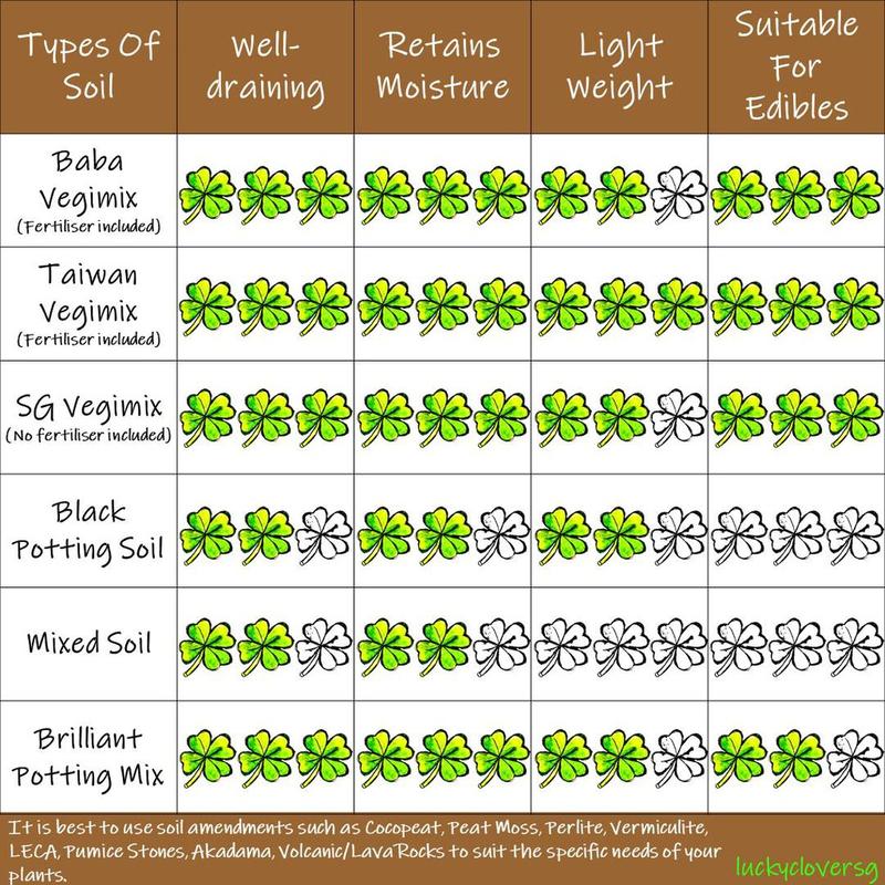 [2L, 4L] Vermiculite For Planting / Gardening / Mixing Into Soil 2