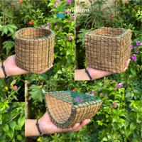 Gambar INFARM - Pot sabut kelapa Pot Tanaman Ramah lingkungan - KOTAK dari Infarm Kota Surabaya 5 Tokopedia