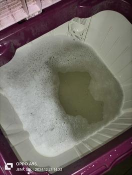 Product Review of Wiselie Pembersih kerak Mesin Cuci Ampuh Dijamin Bersih 100% 500g Clean menjaga umur mesin cuci Pembersih Mesin from E** T**5 2
