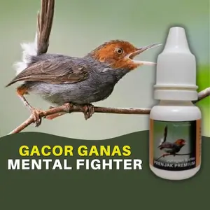 Doping Vitamin Burung Prenjak Premium Biar Gacor Full Fighter Ganas