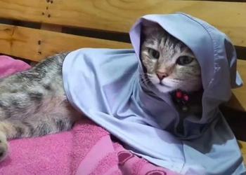 Product Review of HIJAB SEGITIGA INSTAN JERSEY LABEL AKRILIK Nyaman Lembut Cantik from M**e 0