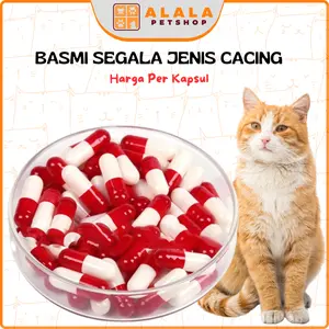 Obat Cacing Kucing Kapsul Ampuh 10pcs Alalastore