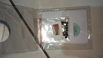 Product Review of 20 BUTIR BENIH TANAMAN PUCUK MERAH (sudah dikupas,siap tanam) from s**9 0