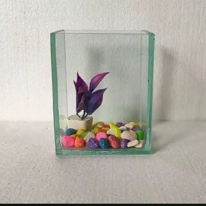 Soliter ikan cupang dan gepi lengkap dengan batu warna dan kembang ukuran 10x8x12
