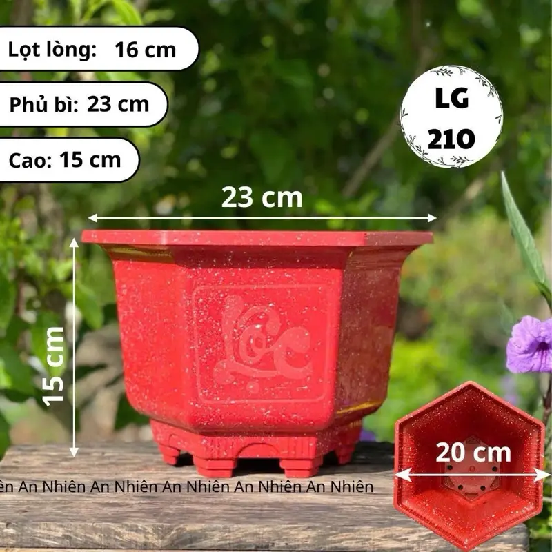 [Combo 10 cái - Giá Tốt ] Chậu Nhựa Lục Giác 210 (Miệng 23cm x Cao 15cm) - Mini trồng cây cảnh