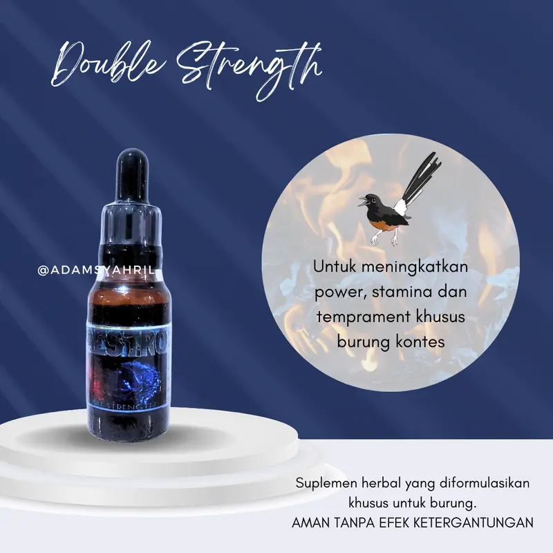 Maestro Double Strength (Peningkat Fighter Burung) 1