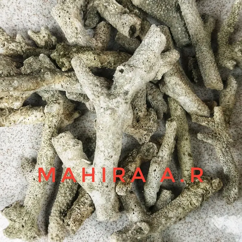 Karang Jahe 500 gram - Filter Akuarium untuk pH Netral dan Alkali 3
