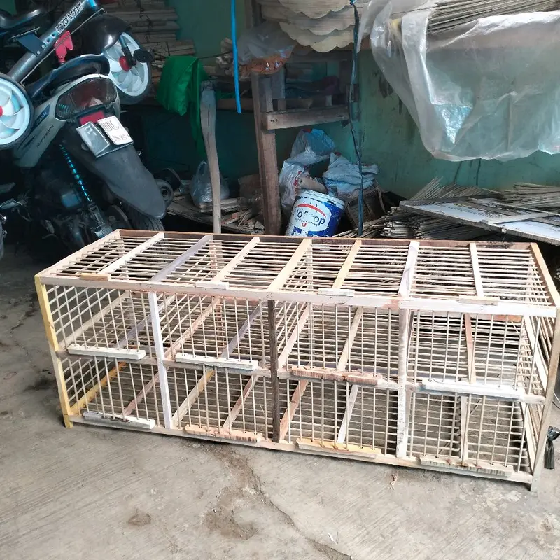 AMBRUKAN DONGDANG BURUNG MERPATI 3 PASANG 6 PINTU DONDANG MERPATI DARA AMBRUKAN BELUM DI RAKIT SANGKAR KANDANG DONDANG BURUNG dongdang  pintu  4 8