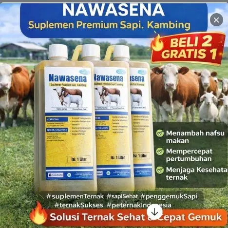 Beli 2 Gratis 1