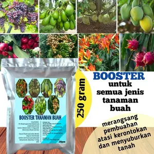 Pupuk pelebat buah untuk semua jenis tanaman isi 250 gram durian jambu mangga cabai anggur dll Serbuk