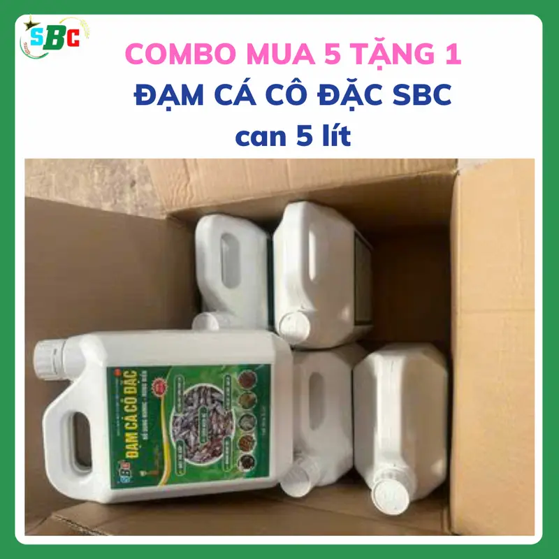 Thùng 6 can đạm cá cô đặc SBC loại 5 lít - phân bón hữu cơ bổ sung thêm humic và rong biển, dưỡng chất trung vi lượng giúp cây siêu kích rễ mạnh, phát triển nhanh, tăng năng suất, giúp  cho đất tơi xốp, phun lá hoặc tưới gốc # cà phê, sầu riêng 0