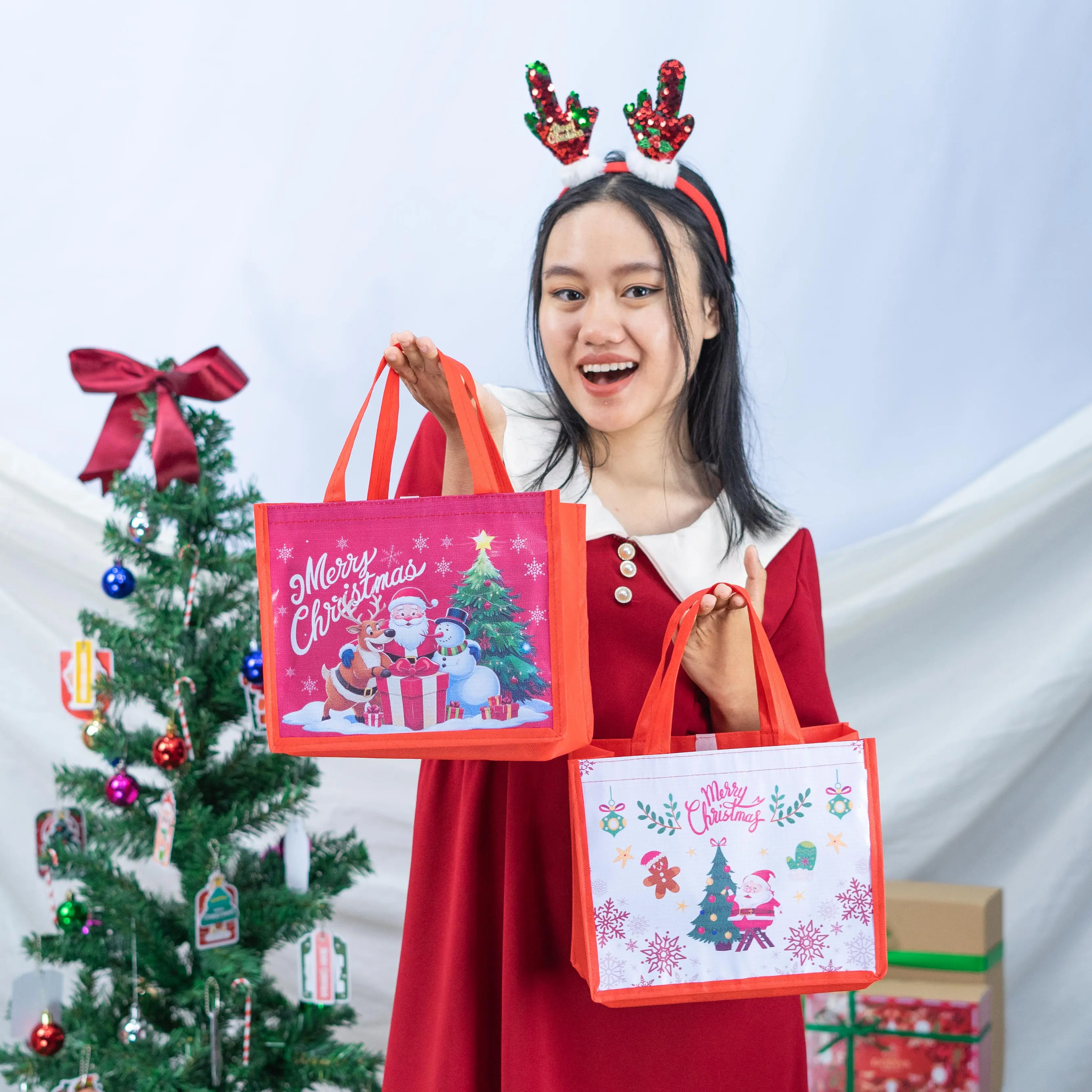 Tas READY STOCK Natal / Bingkisan Natal Bisa Beli Satuan T20 P25