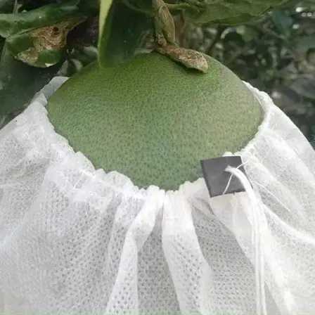 100 túi 20x30 cm  bọc xoài ,bơ  (CÓ NÚT CHẶN)