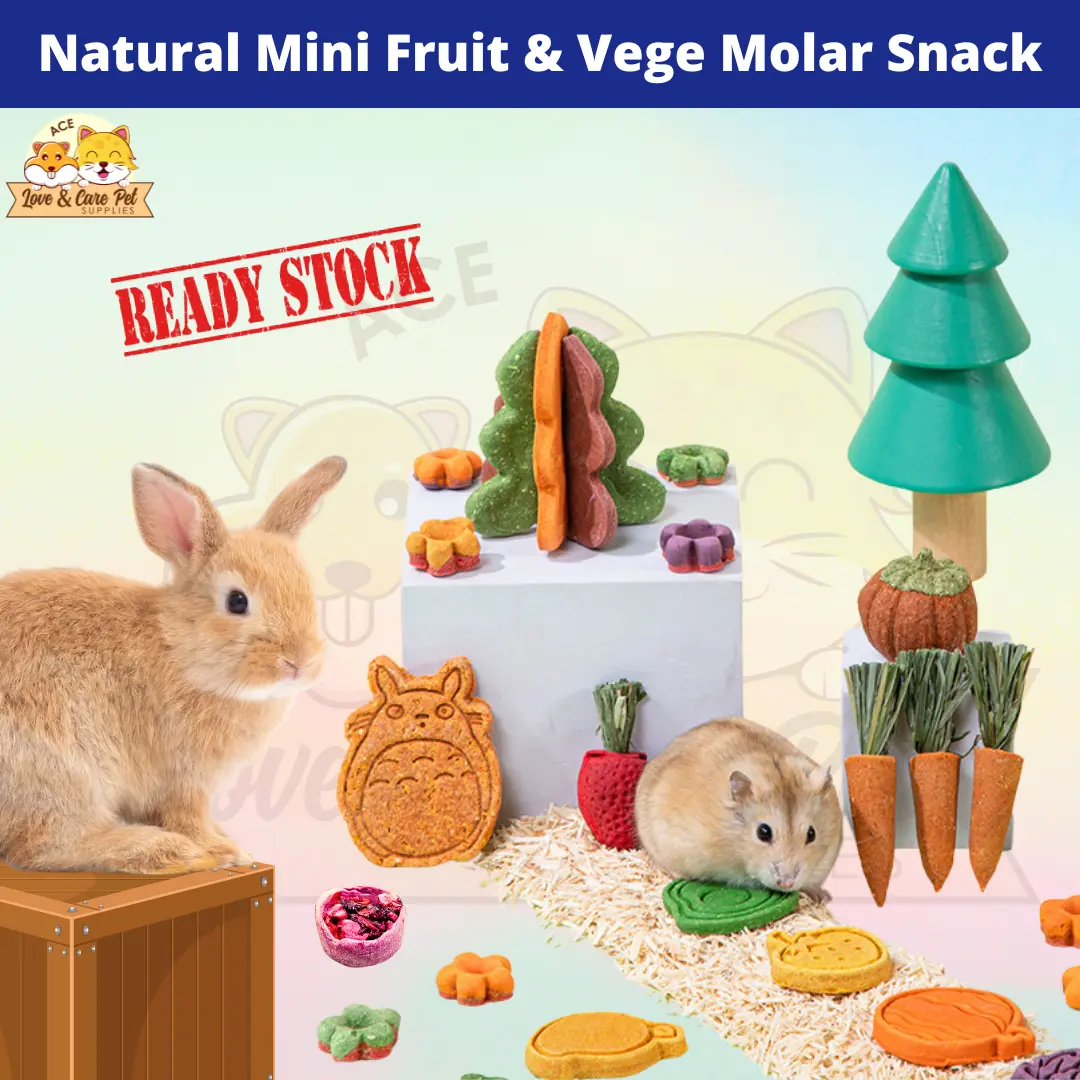 Natural & Nutritious Mini Carrot/Strawberry/Tart Molar Snack for Hamster/Rabbit/Guinea Pig