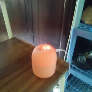 Humidifier Diffuser 220 ML dengan LED - Pengharum Ruangan