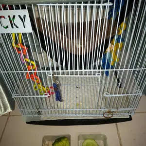 SLEEPING POUCH DORAEMON BULU TEBAL KASUR SUGAR GLIDER BULU TEBAL TEMPAT TIDUR SUGAR GLIDER TUPAI TERBANG LANDAK HAMSTER POUCH SG SUGAR GLIDER