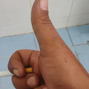 jas hujan transparan untuk anjing kucing hewan anabul premium