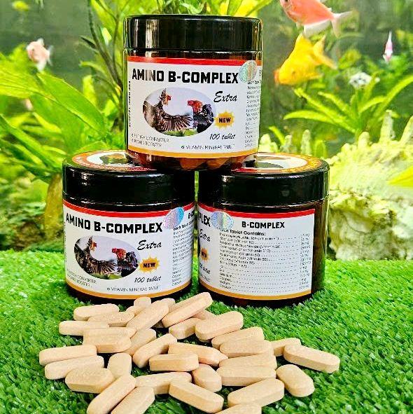 Hũ Amino Bcomlex Nuôi Gà Khỏe Cung Cấp Dinh Dưỡng Cho Gà Khỏe Mạnh