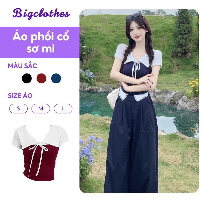 Áo Thun Nữ Phối Màu BigClothes, Áo Thun Nữ Ngắn Tay Dáng Ôm Cổ Sơ Mi Thắt Nơ Thời Trang C12