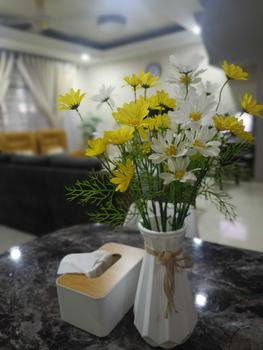 Product Review of Stylish Nordic Creative Plastic Vase Designs For Living Room Office Bedroom Dining Table Modern Decoration Flower Vase Untuk Hiasan Ruang Tamu Pejabat from E**a 0