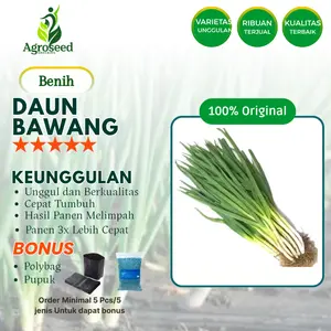 ±50 Benih Tanaman Daun Bawang Termurah  Bibit Unggul Cepat Tumbuh Isi Banyak