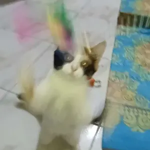 Tongkat Kucing Bola Gigitan Kucing Anjing Mainan Tikus Untuk Kucing Mainan Kucing