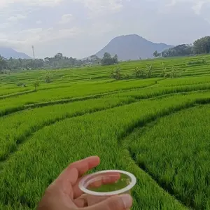 Alat Saring Kopi Vietnam Dripper Coffee Model Ulir 8Q /120ml Stainless steel