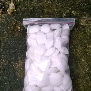 putasss hama ikan tambak dan kolam terlaris kemasan 100 grm