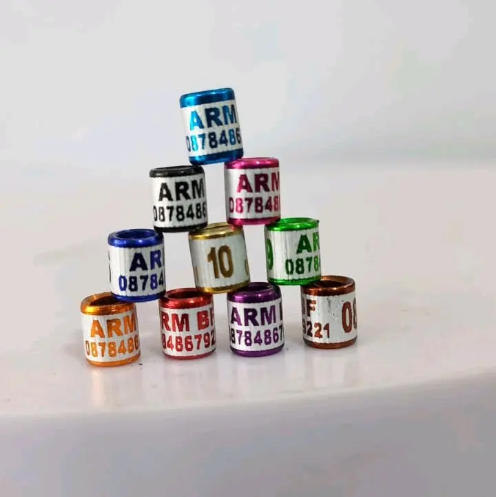 PLECI dan SOGON ukuran 2.5mm dan 2.7mm, minimal pemesanan 25 biji, bisa cetak nama sendiri 1