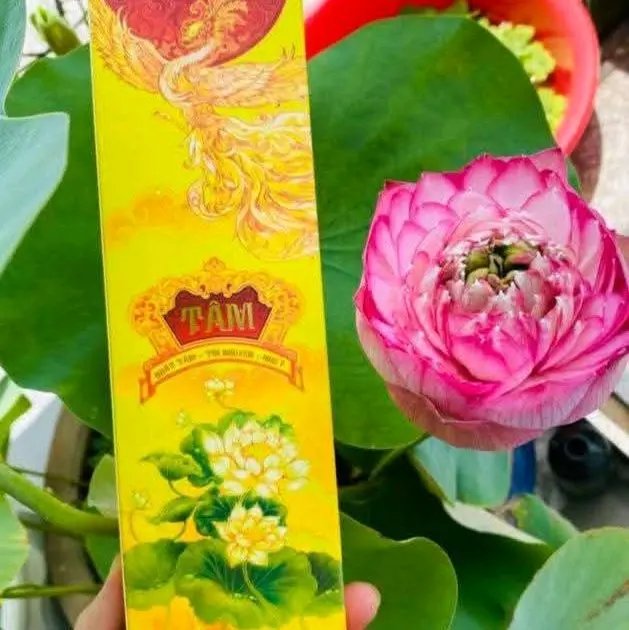 Alofa Nhang Phong Thủy Tuệ Tâm 114 Nén - Sản Phẩm Tự Nhiên An Toàn Cho Sức Khỏe & May Mắn 8