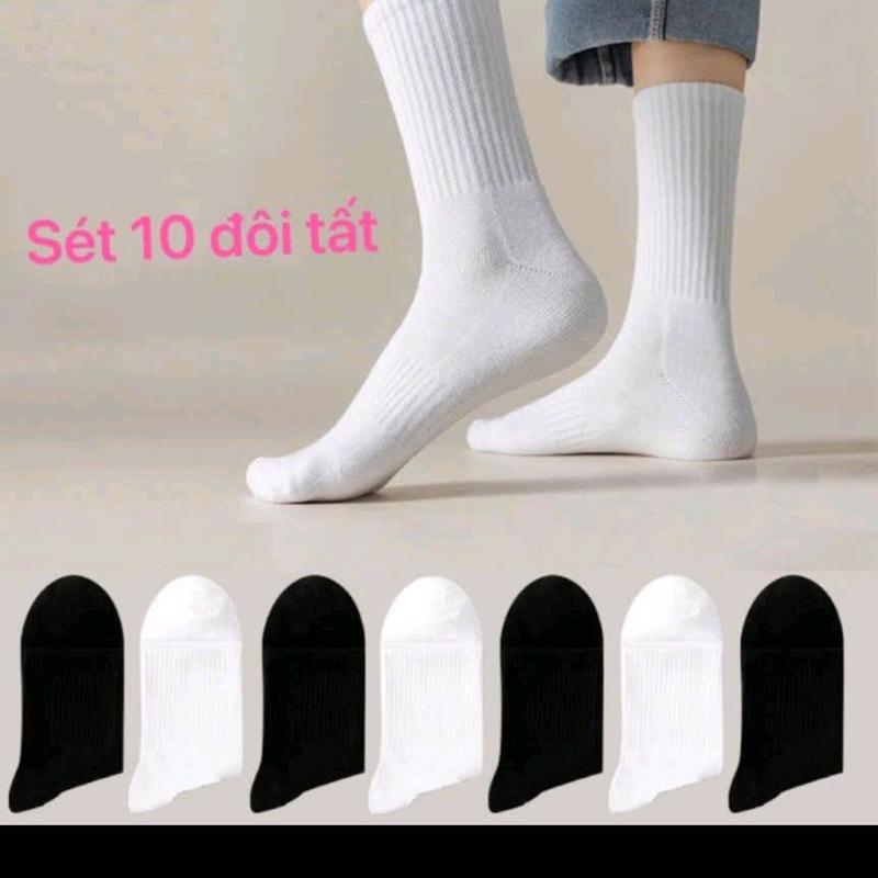 Tất chơn cao cổ nam nữ - Sét 10 đôi tất