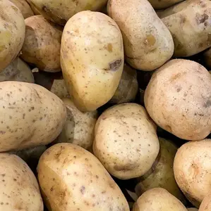 Kentang Fresh 1kg, Kentang Segar Berkualitas Tinggi untuk Makanan Harian Anda