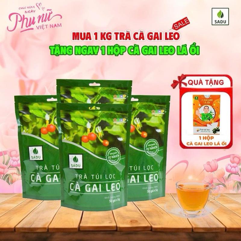 1KG TRÀ TÚI LỌC CÀ GAI LEO + TẶNG HỘP CGL LÁ ỔI 100g Hỗ trợ thải độc gan,  - Tea, Nước Trà Chè