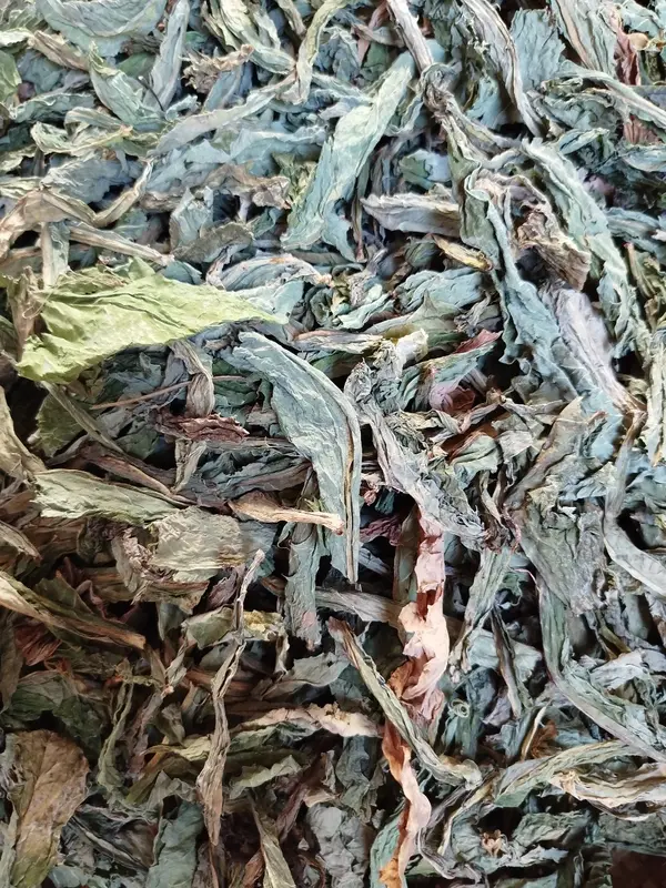 1kg Lá bồ công anh khô 1kg đặc sản Nam Định hỗ trợ Thanh nhiệt mát gan,tiêu u – dùng uống giải khát hàng ngày 3