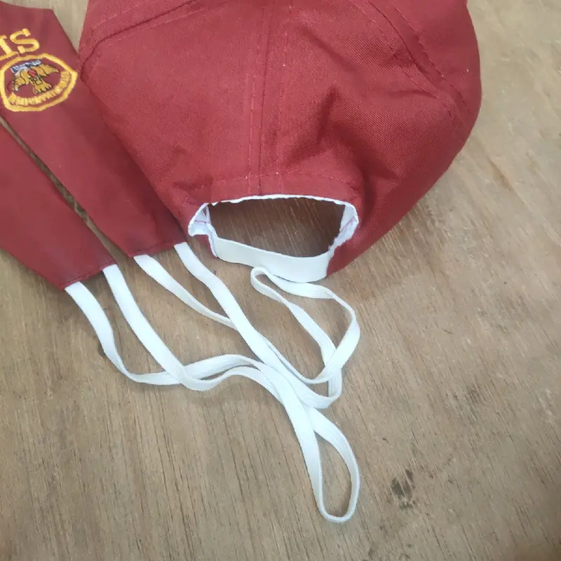 Topi dan dasi logo bordir tutwuri handayani  Karet 2