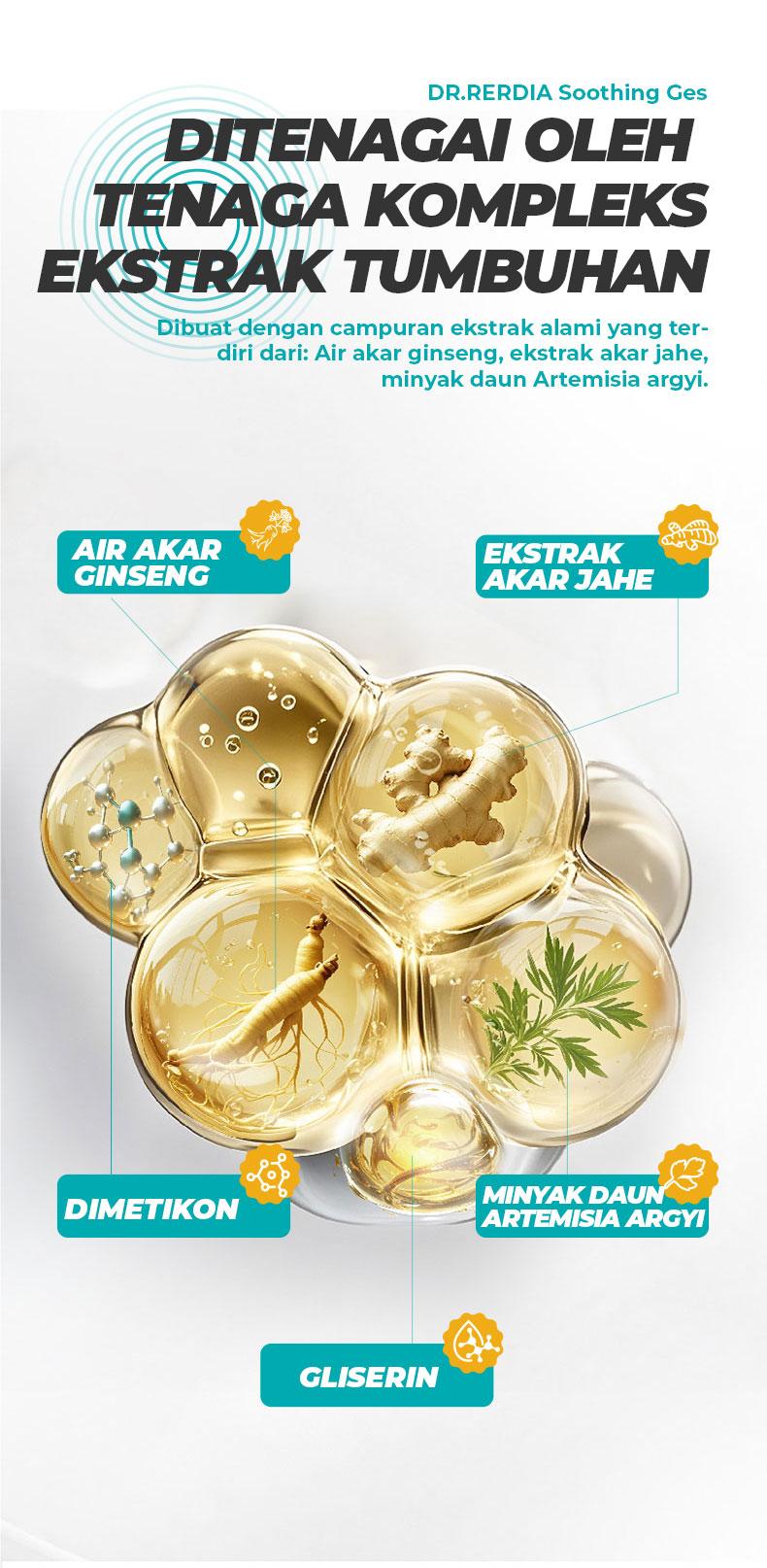 [Stok Tersedia] DR.RERDIA Gel Soothing dengan Ginseng, Jahe, dan Artemisia – Perawatan Lembut untuk Kaki Anda