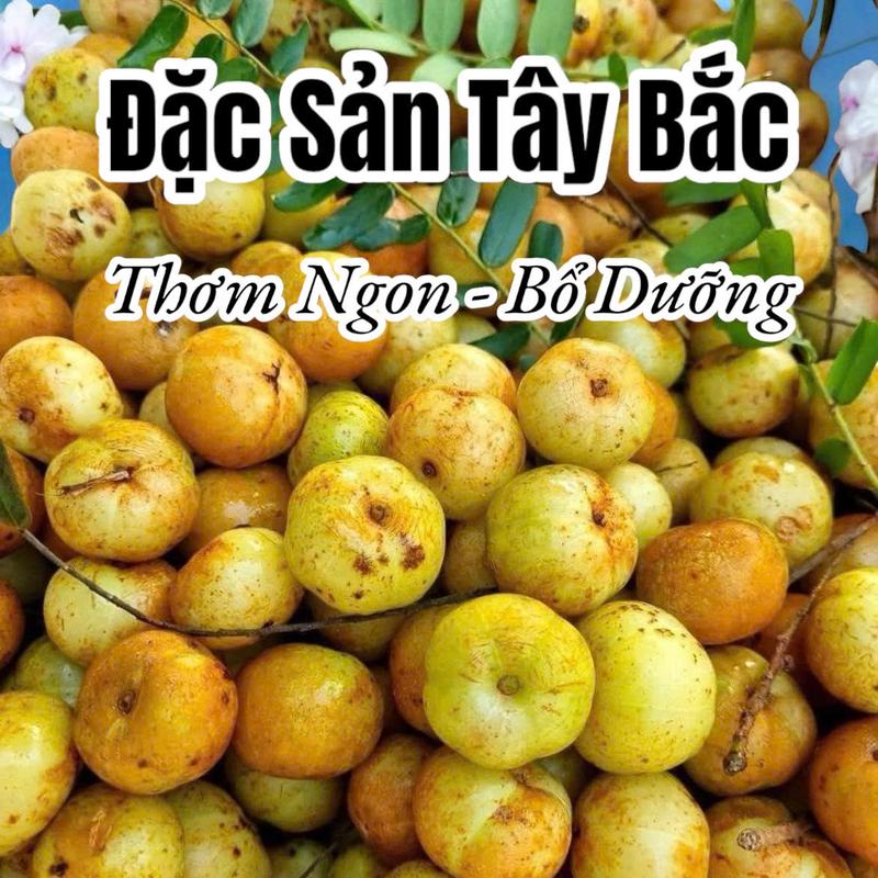   Loại 1  Mắc kham tươi tuyển chọn – vị chua ngọt tự nhiên - Đặc Sản Tây Bắc Thơm Ngon Bổ Dưỡng 