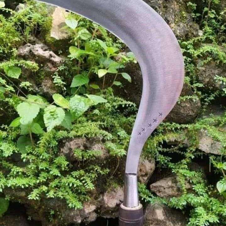 arit rumput cap bintang 5 asli pande Madura 8