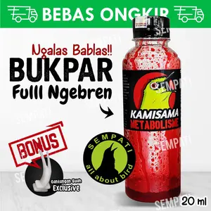SEMPATI Kamisama Ryo Bird Metabolisme Water Pakan Minuman Vitamin Burung Pleci Konin Sogon Ninja Suplemen Burung Gacor Vitamin Dextro Pleci