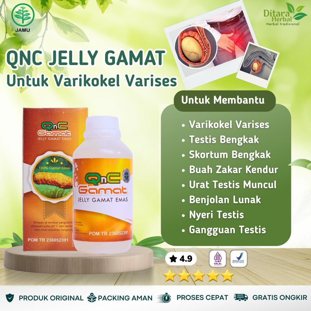 Qnc Jelly Gamat Untuk Varikokel Varises Testis Berurat -Kantong Testis Membesar -Testis Besar Sebelah Kantong Biji Kendur Pembengkakan Pembuluh Darah Vena - Qnc Jelly Gamat