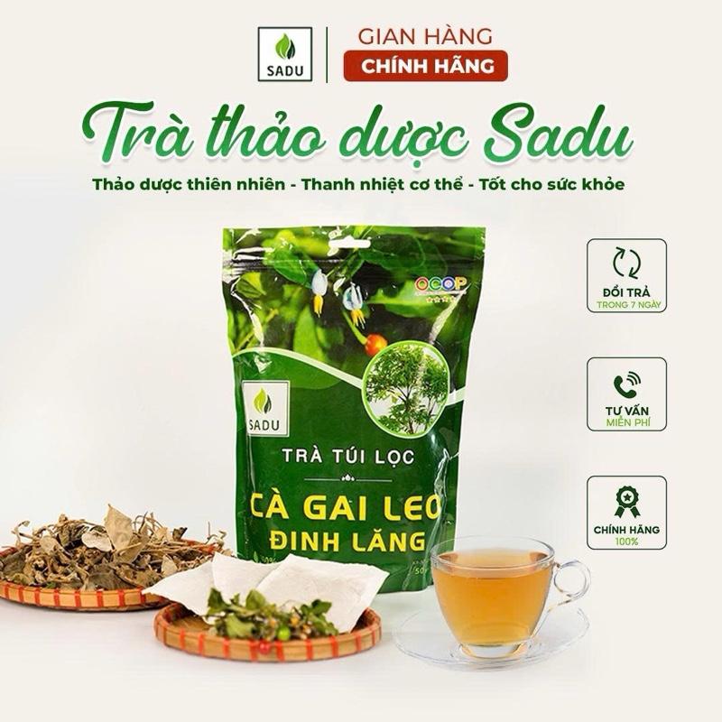Trà túi lọc Cà Gai Leo Đinh Lăng SADU ( gói 250g ) - Hữu cơ Nước Trà Tea Chè
