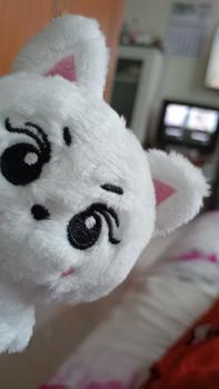 Product Review of [ENH] Unoff Enhypen Doll Plushie Jay Jake Heeseung Niki Jungwon Sunoo Sunghoon Boneka karakter Toys from c**a 0
