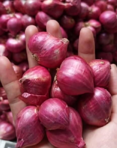 Product Introduction of Bawang merah sedang kering 1kg bumbu masak 2