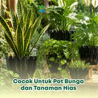 Gambar INFARM - Pot Tanaman Gelombang Cinta 06 Bahan Plastik Tebal dan Kuat Pot Tanaman Hias Bergelombang dari Infarm Kota Surabaya 3 Tokopedia