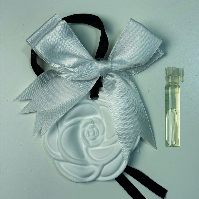 Aroma Stone Gipsum Plaster Penyakut Kereta dan Almari Pakaian Aromaterapi Wangian Tahan Lama Airsooth 9