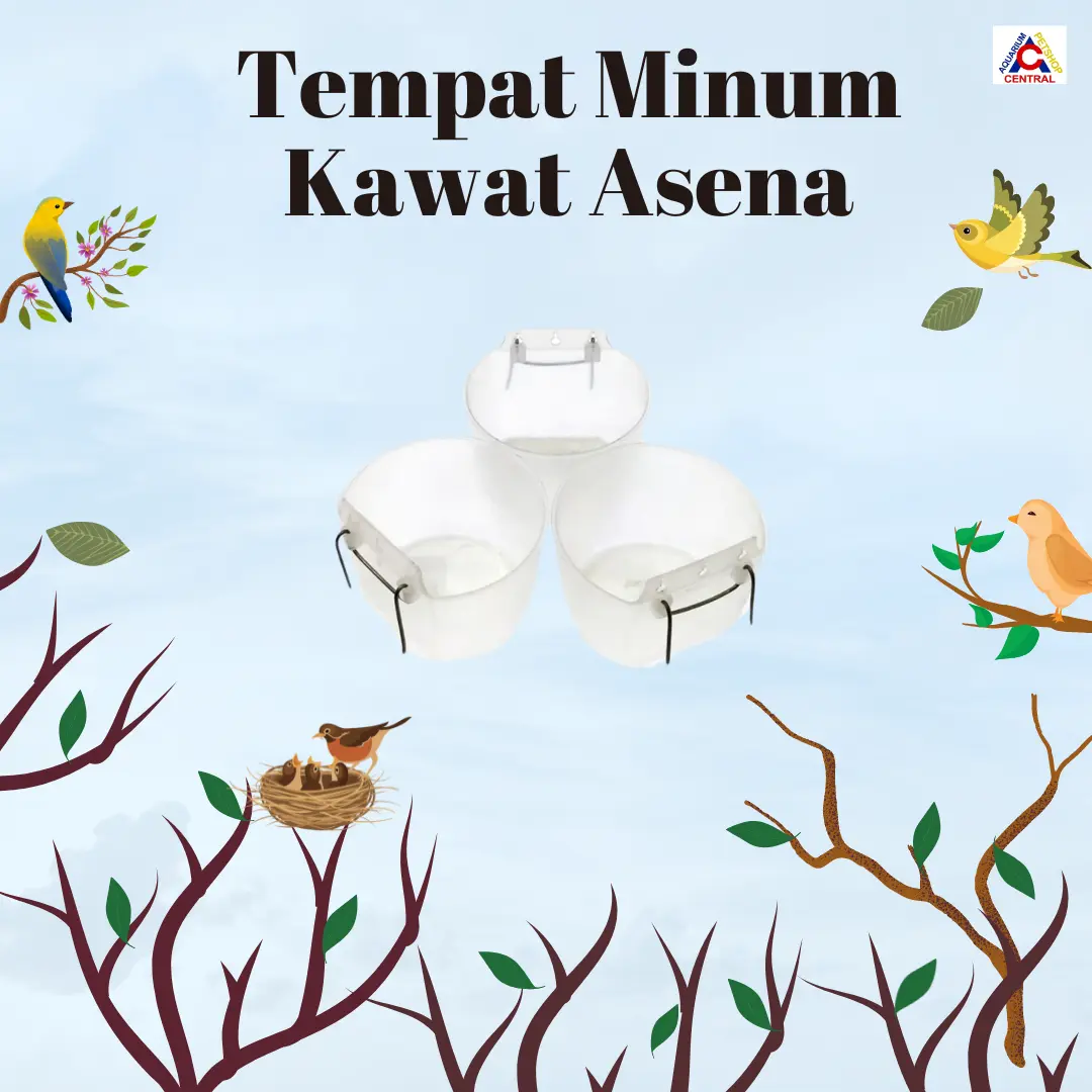 Tempat Minum/Cangkir untuk Burung Kawat Asena